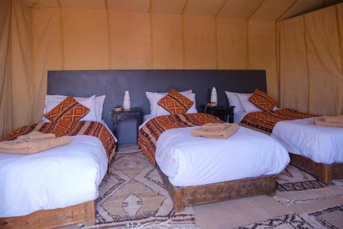 Camel Trips Luxury Camp