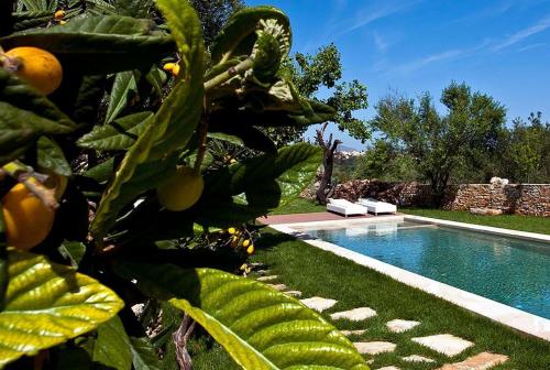 Impressive Chania Villa | Villa Trunks | Spacious Outdoor Area with Private Pool | Ayios Pavlos, Gavalochori