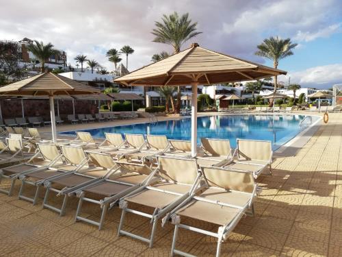 Chalet NEMO vista mare Sharks Bay Sharm el Sheikh - image 4