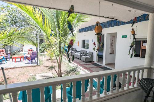 Hostal Palo Alto in San Andres Island