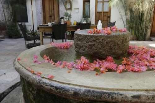 553634363 Orchid House San Miguel de Allende