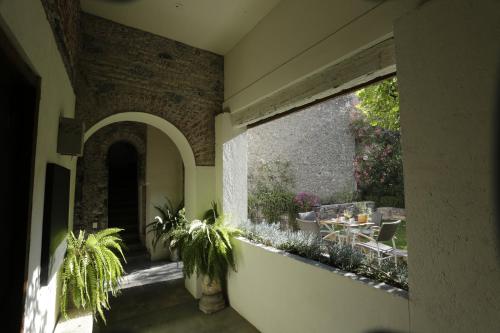 553634392 Orchid House San Miguel de Allende