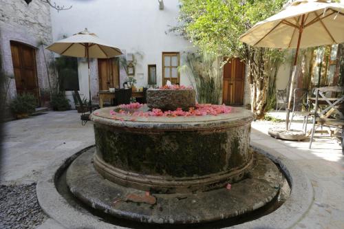 553634396 Orchid House San Miguel de Allende