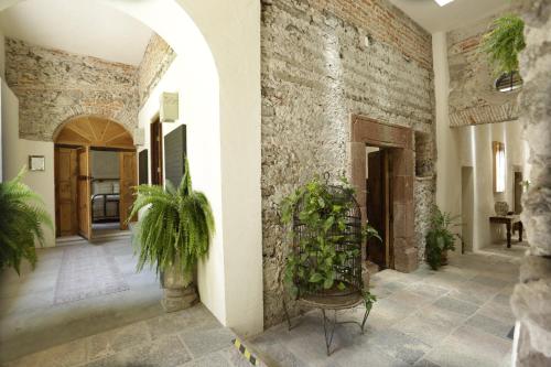 553634397 Orchid House San Miguel de Allende