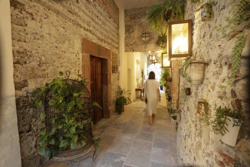 553634408 Orchid House San Miguel de Allende