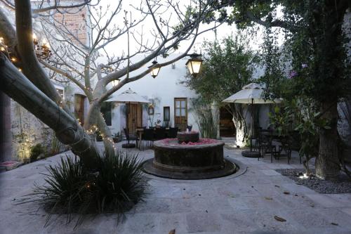 553634410 Orchid House San Miguel de Allende