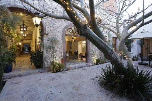553634412 Orchid House San Miguel de Allende
