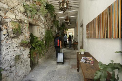 553634413 Orchid House San Miguel de Allende