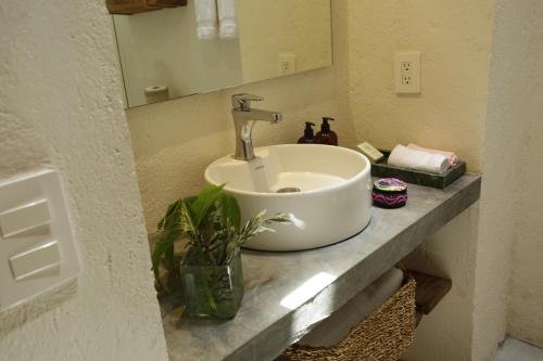 553634674 Orchid House San Miguel de Allende