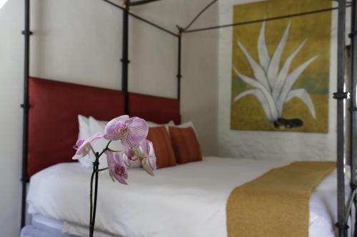 553634735 Orchid House San Miguel de Allende