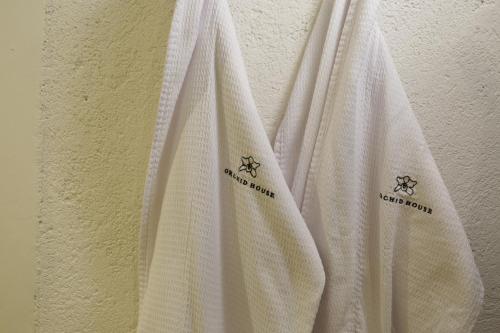 553635084 Orchid House San Miguel de Allende