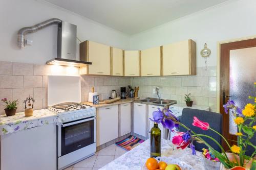 ห้องครัว, Family friendly house with a swimming pool Vinez, Labin - 22240 in วิเนซ