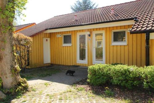 Möwe 37 in Mirow, Deutschland