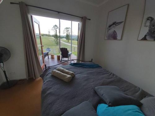 Eucalyptus Escape - Privacy in the Hinterland