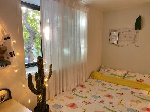 Amazing room HONGDAE GUESTHOUSE, Soul (fotografie 3)