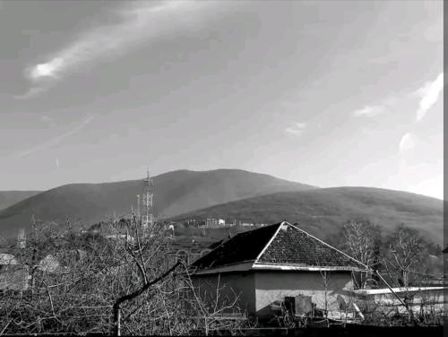 IYI TATILLER, Şəki