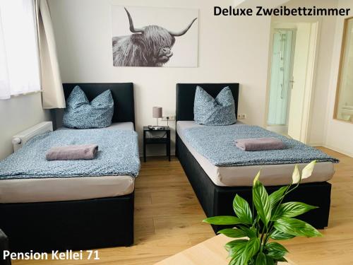 Pension Kellei 71, Drezno (zdjęcie 6)