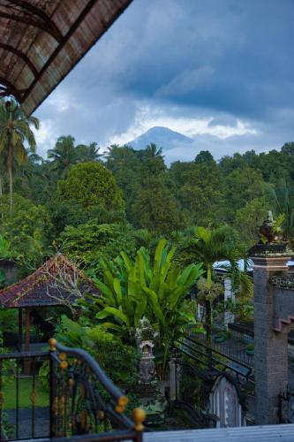 View, Desa Hostel in Munduk