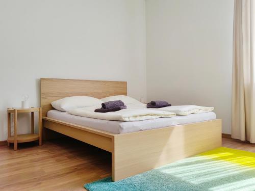 Atlas suites in the historical centre of Košice