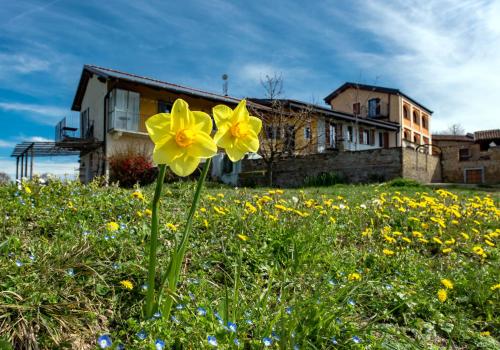  Cascina Nomade - Wine & Scenic Retreat in Dogliani