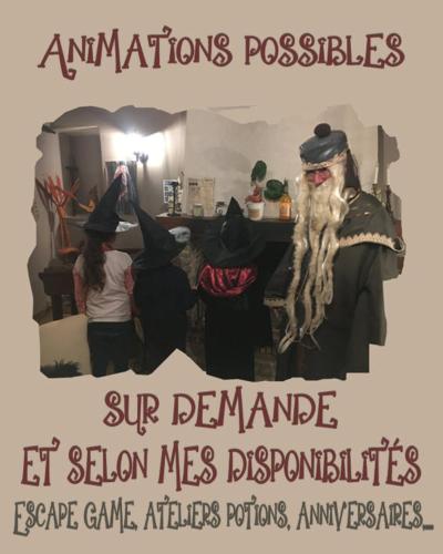 Au Rendez-Vous des Sorciers II