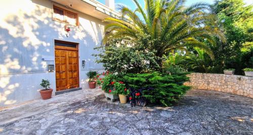 Private house in Locorotondo - Puglia - Italy