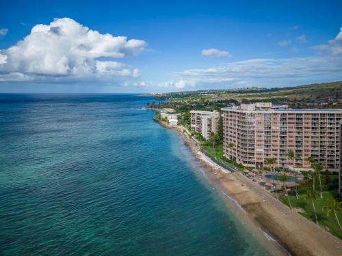 Brand New Condo with excellent reviews - image 2