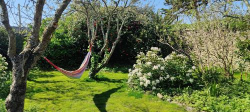 Maison wifi jardin arboré pointe du Raz