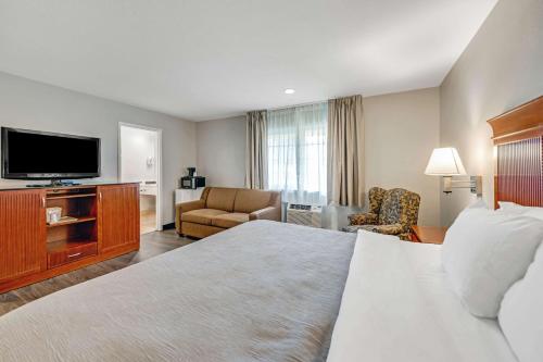 Quality Inn Santa Cruz - image 11
