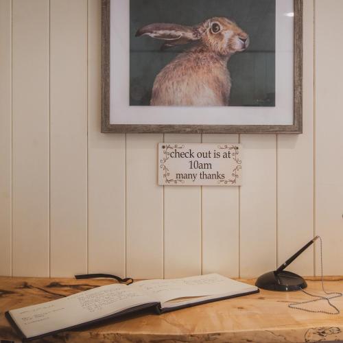 The hideaway at hiddenwood glamping The hideaway at hiddenwood glamping