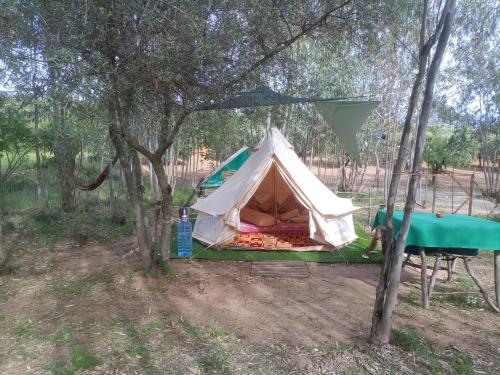 Libertatia gîte à louer Dolianova