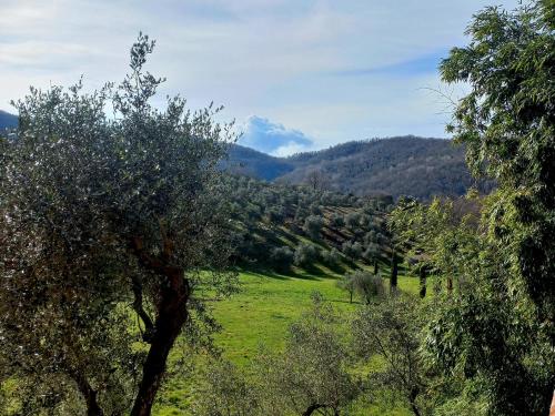 B&B La Risorgiva, Fivizzano (foto 10)