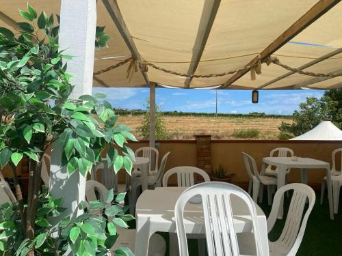 Toit ja joogid, Il Podere degli Asinelli in Città Sant'Angelo