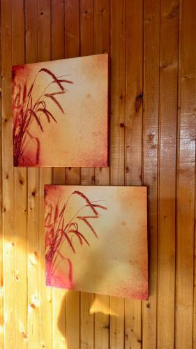 Alyvų Vila - Palanga All House Just For You Alyvų Vila - Palanga All House Just For You