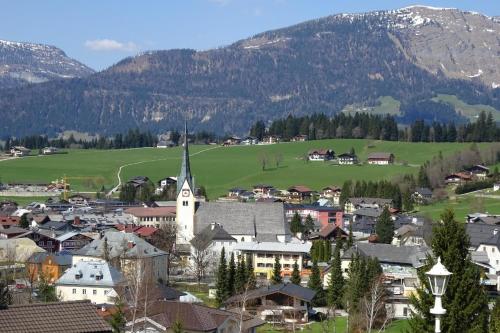 Gemütliches Appartement in Abtenau mit Garten und Terrasse Abtenau