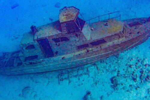 Quiet and cozy cunuco guesthouse in Savaneta in Savaneta