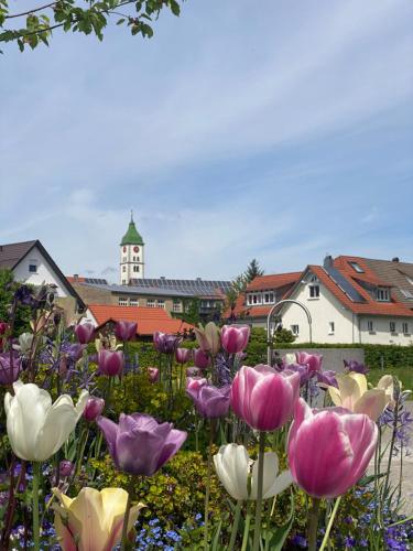 Schöne Wohnung in der Altstadt