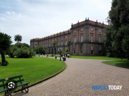 Chez Bois - Suite Apartment Capodimonte