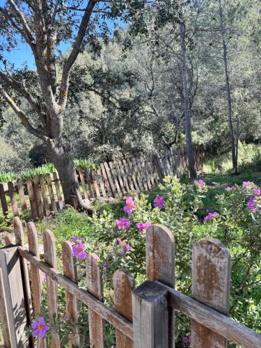 周邊環境, Alcarria , Casa del Agua in 阿爾瓦拉特德索里塔