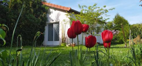 La Petite Maison - Location saisonnière - Saint-Rémy-lès-Chevreuse