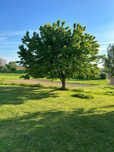 Babsi Appartments - leben am Land