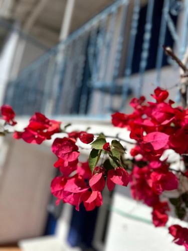 Viewtyhouse Viewtyhouse