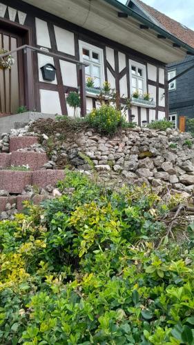 Ferienwohnung an den Itzauen in Grossheirath