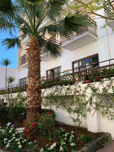 Hotel Conte - image 4