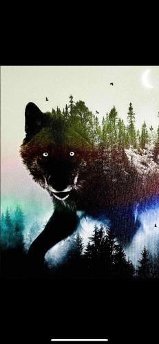 . The Wolfs Den