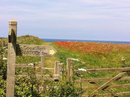 Cubert Nr Newquay Traditional 16th century cottage