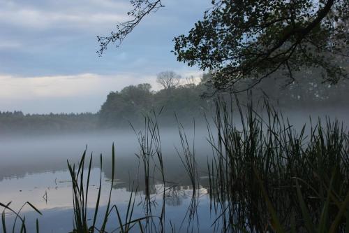 Ferienhutte Barsdorf in Furstenberg-Havel