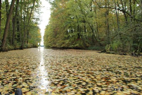 Ferienhutte Barsdorf in Furstenberg-Havel
