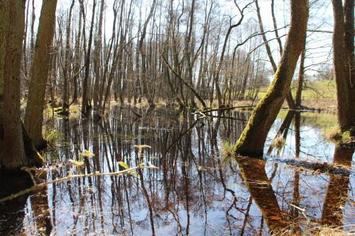Ferienhutte Barsdorf in Furstenberg-Havel