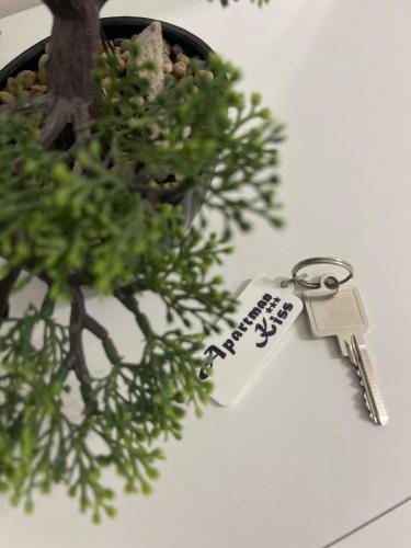 Apartman Kis Apartman Kis